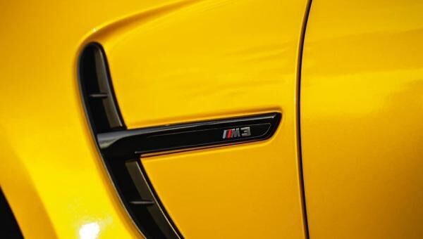 Dandelion Yellow
