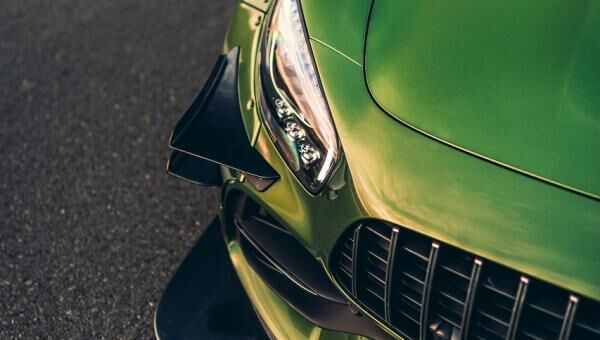 Mamba green Mamba green